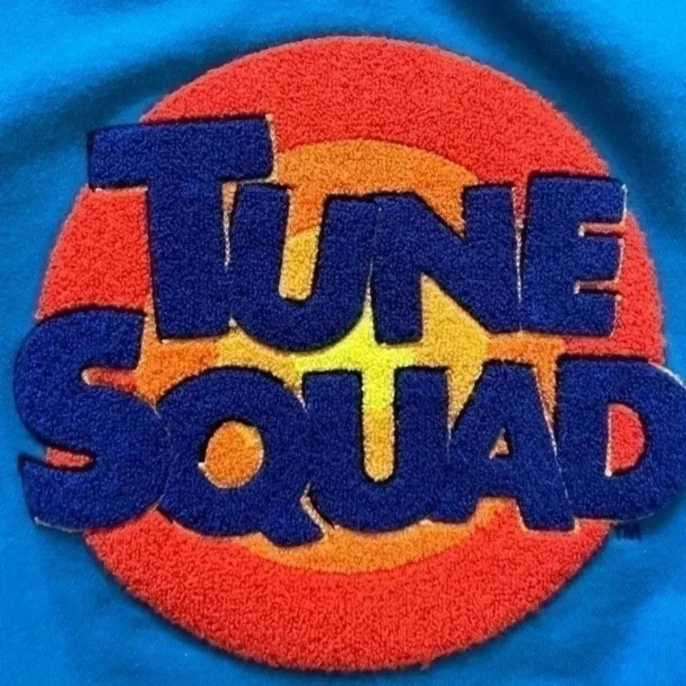Dumbgood X Space Jam UO EXCLUSIVE Pullover Sweatshirt​